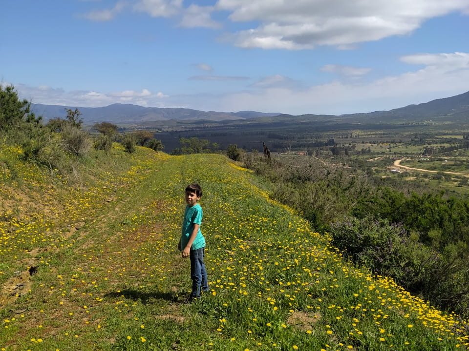 PARCELA 1000M2 ZAPALLAR2