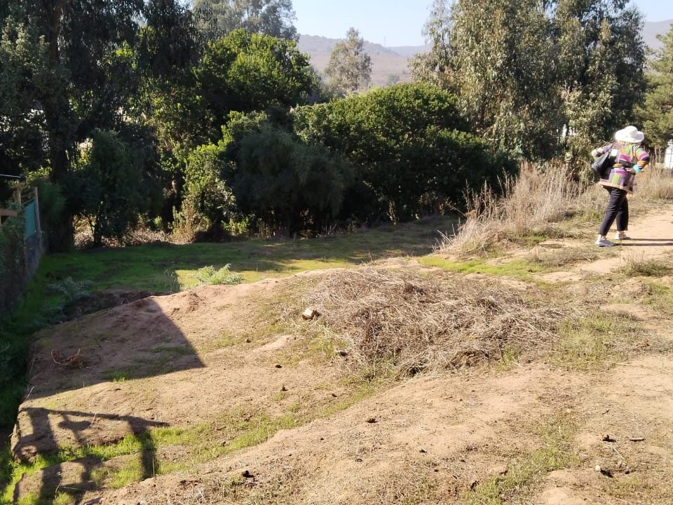 Terreno de 2225 mts2 2