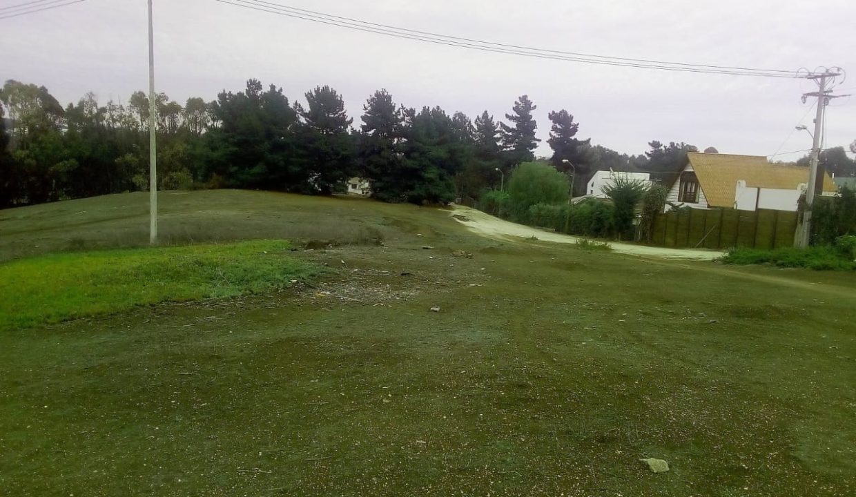Terreno de 9200 mts2_3