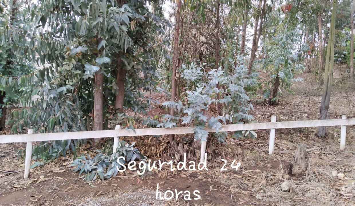 Terreno en condominio las divisas