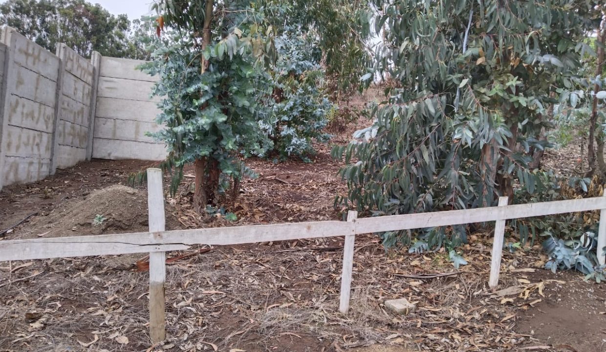 Terreno en condominio las divisas 850 m2