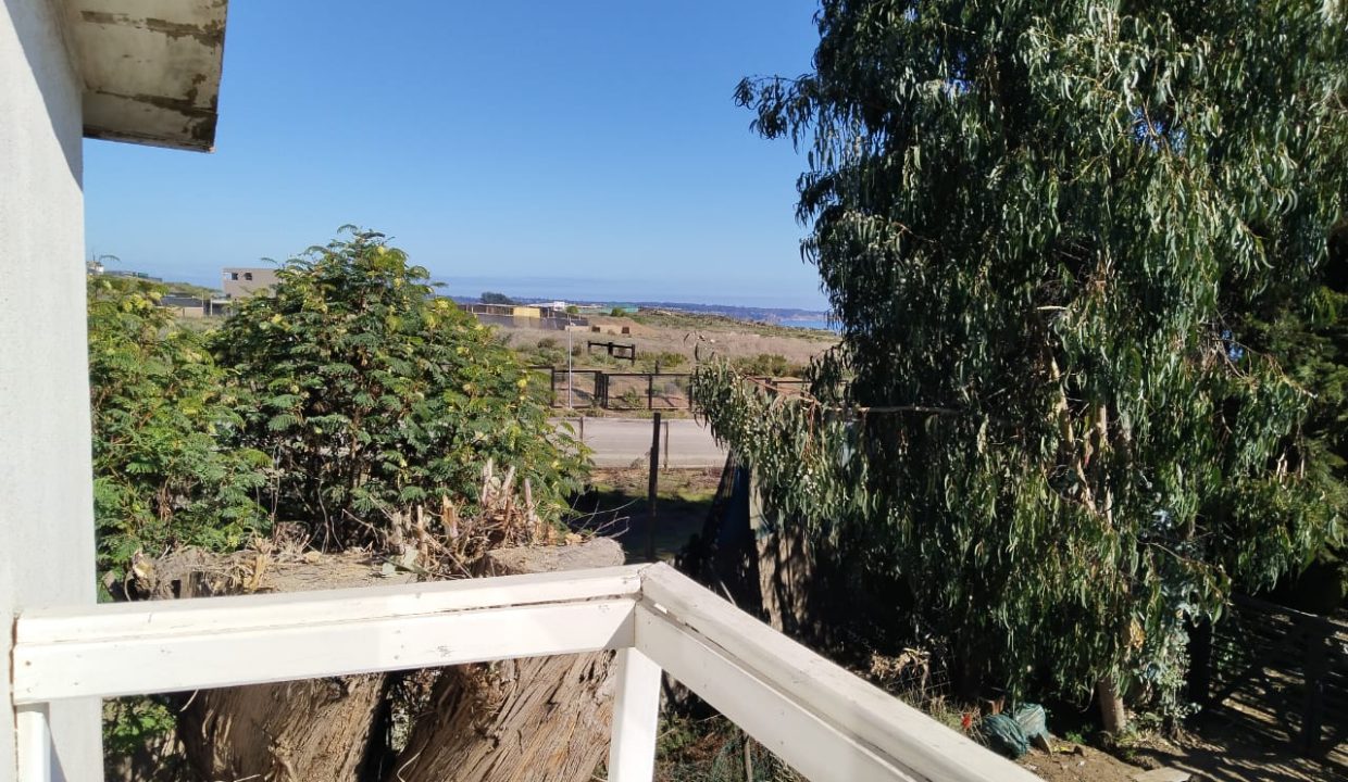 IMG-20260604-WA0021